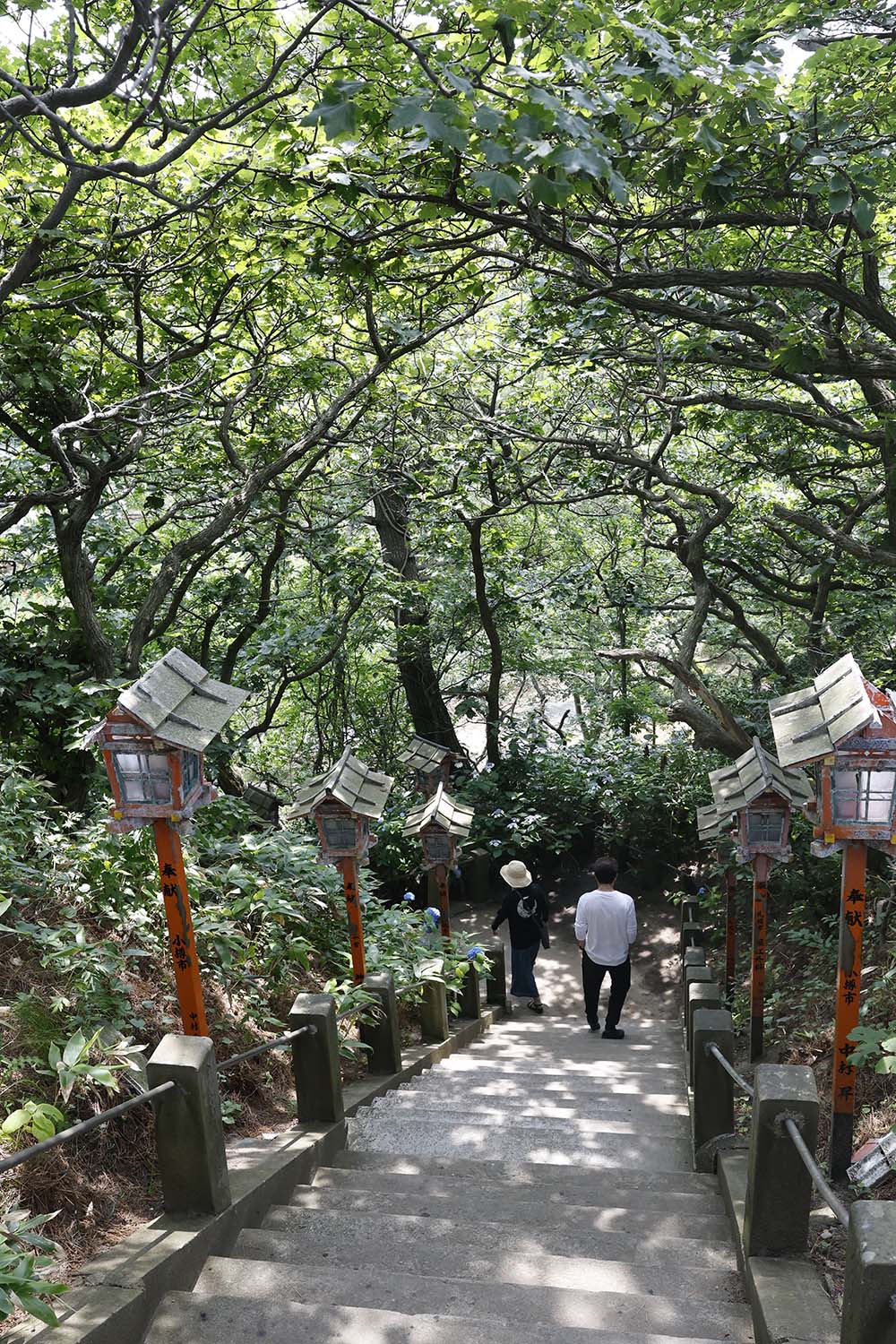 とある神社の階段の写真